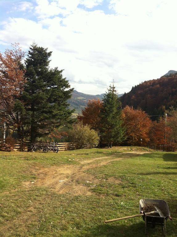 Veresko Villa Lacu Rosu Bagian luar foto