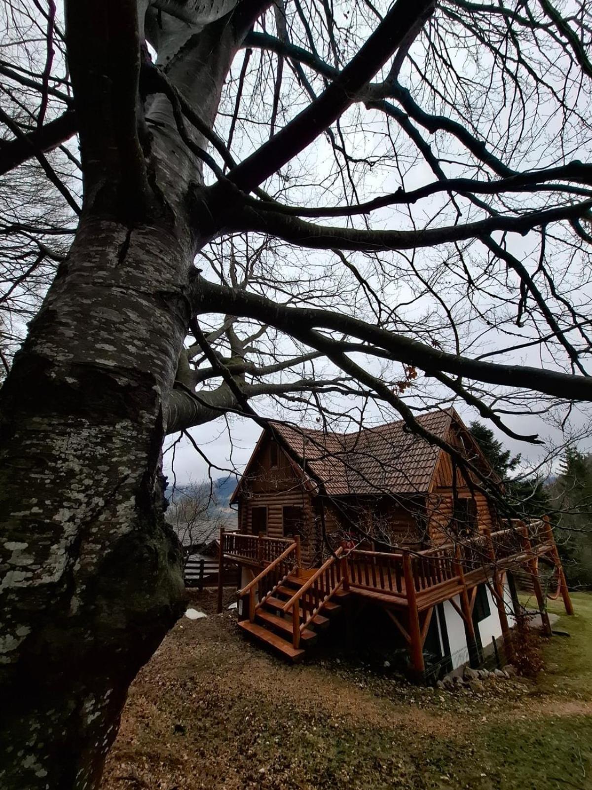 Veresko Villa Lacu Rosu Bagian luar foto